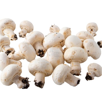 Шампиньоны свежие 500 г - купить в Малиновке Второй